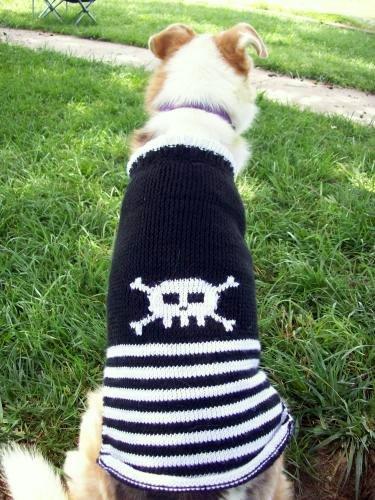 Pirate Dog Pirate Dog